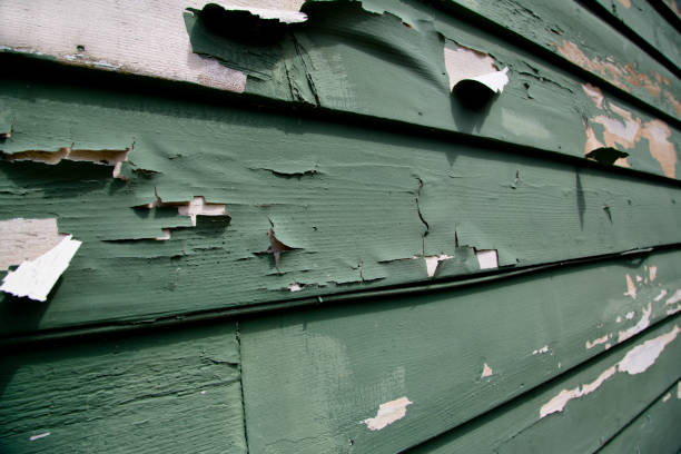 Best Siding Maintenance  in Florence, AL