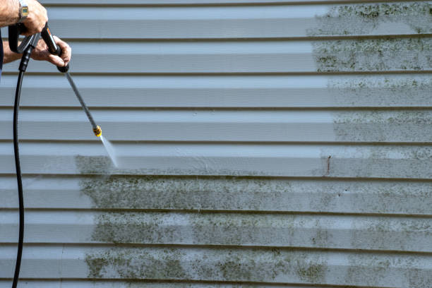 Best Engineered Wood Siding  in Florence, AL
