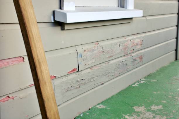 Best Custom Trim and Detailing for Siding  in Florence, AL