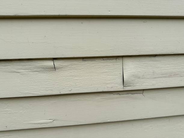 Best Residential Vinyl Siding Installation  in Florence, AL